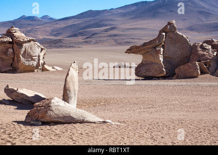 Erosione naturale da vento e acqua lungo andato ha lasciato scultoreo e artistiche forme di roccia in alto deserto piano dell'Altiplano, Bolivia. Foto Stock