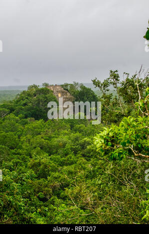 Antica piramide Maya della città perduta Calakmul circondata dalla giungla verde di Campeche, Messico Foto Stock