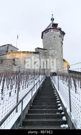 Schaffhausen, SH / Svizzera - Gennaio 5, 2019: Munot Castello e scale leaading attraverso il vigneto coperto di neve profonda Foto Stock