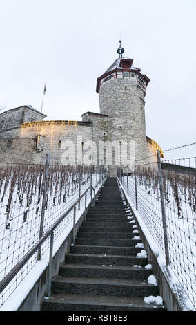 Schaffhausen, SH / Svizzera - Gennaio 5, 2019: Munot Castello e scale leaading attraverso il vigneto coperto di neve profonda Foto Stock