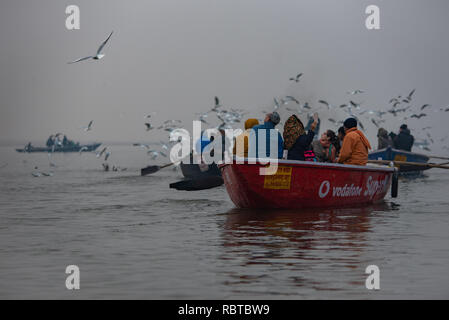 Barche sul Gange nelle prime ore del mattino di Varanasi, India con persone che guardano un nugolo di gabbiani attratti dalla alimentazione fornita dai barcaioli. Foto Stock