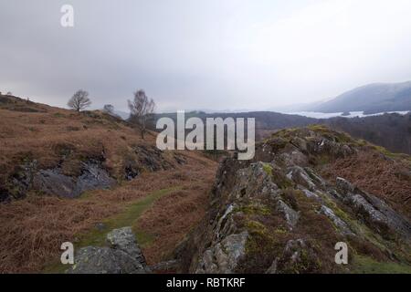 Una brughiera valle nel Lake District inglese (Cumbria): erica e bracken tra balze rocciose. Coniston Water lake in distanza, con la nebbia in t Foto Stock