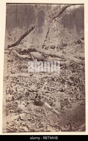 -Il deserto campo di battaglia, nei pressi di Spotsylvania, Virginia- Foto Stock