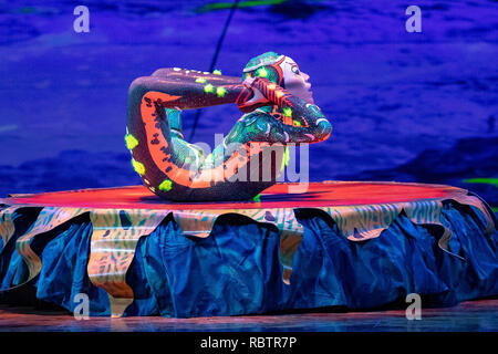 Londra, Inghilterra. Xi Gennaio 201, membri del cast del Cirque Du Soleil eseguire in "Cirque Du Soleil Totem' Prove abito presso la Royal Albert Hall ,l'Inghilterra, © Jason Richardson / Alamy Live News Foto Stock