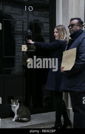 Sammy Andrews e Cliff Fluet consegnare una petizione al Primo Ministro, Theresa Maggio al 10 di Downing Street. Il Regno Unito industria musicale unite alla chiamata per un alternativa al Brexit. Musica leader di settore, organismi commerciali e Grammy, Emmy, Brit e premio Oscar artisti vincitori si incontrano a Westminster a portata di mano la musica4EU petizione dentro Downing Street‬, Downing Street, Londra, UK Credit: amanda rose/Alamy Live News Foto Stock