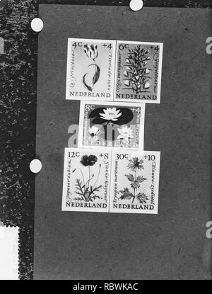 Aankomst van dr Drees en echtgenote in Israele, zomerzegels 1960, Bestanddeelnr 911-1142. Foto Stock