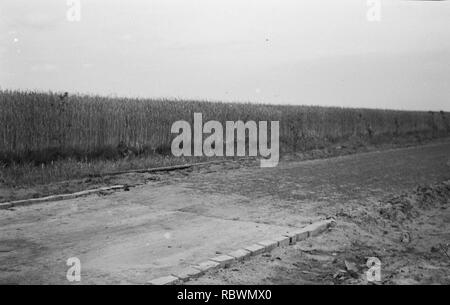 Aanleg en verbeteren van wegen, Bestanddeelnr 251-3305. Foto Stock