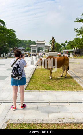 Turistica prendendo una foto di una vacca sacra in Ngong Ping Piazza, l'Isola di Lantau, Hong Kong Foto Stock