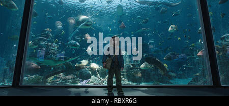 Pellicola originale titolo: AQUAMAN. Titolo inglese: AQUAMAN. Anno: 2018. Direttore: JAMES WAN. Credito: DC Comics/DN ENTERTAINMENT/WARNER BROS / Album Foto Stock