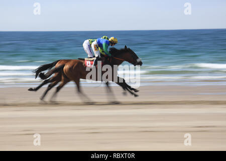 Annuale cavallo racing beach, rossbeigh, wild atlantic modo, County Kerry, Irlanda Foto Stock