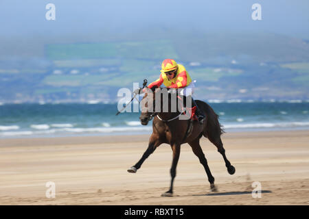 Annuale cavallo racing beach, rossbeigh, wild atlantic modo, County Kerry, Irlanda Foto Stock