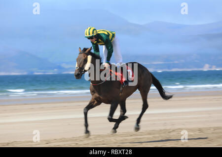 Annuale cavallo racing beach, rossbeigh, wild atlantic modo, County Kerry, Irlanda Foto Stock