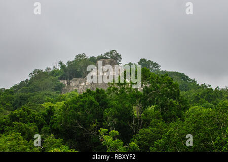 Antica piramide Maya della città perduta Calakmul circondata dalla giungla verde di Campeche, Messico Foto Stock