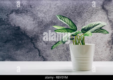 Fiori artificiali Vaso decoro in soggiorno moderno. Dettagliata di  soggiorno moderno design interno con piante artificiali in vasi da fiori  Foto stock - Alamy