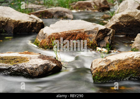 Vista in dettaglio di un flusso di acqua di un piccolo fiume, l'acqua che fluisce oltre le rocce coperte di muschio e singoli ciuffi di erba, ristretta zona di affilatura, flowi Foto Stock