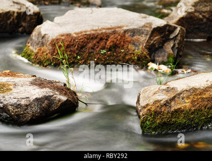 Vista in dettaglio di un flusso di acqua di un piccolo fiume, l'acqua che fluisce oltre le rocce coperte di muschio e singoli ciuffi di erba, ristretta zona di affilatura, flowi Foto Stock