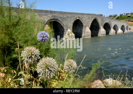 Il vecchio ponte storico con archi. Ponte Sulukh in poltiglia Foto Stock