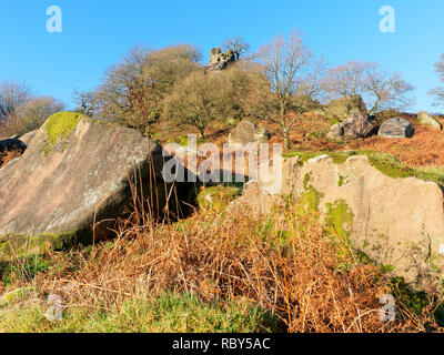 Alberi e rocce caduti suround Derbyshire rock formazione chiamato Robin cappe falcata. Foto Stock