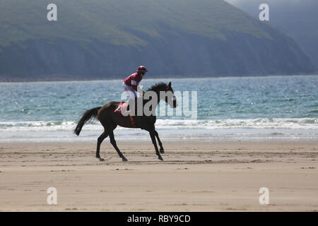 Annuale cavallo racing beach, rossbeigh, wild atlantic modo, County Kerry, Irlanda Foto Stock