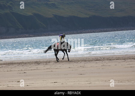 Annuale cavallo racing beach, rossbeigh, wild atlantic modo, County Kerry, Irlanda Foto Stock