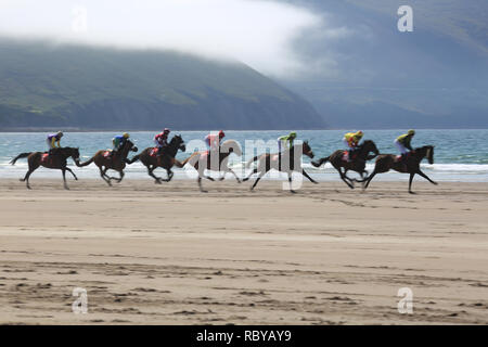 Annuale cavallo racing beach, rossbeigh, wild atlantic modo, County Kerry, Irlanda Foto Stock