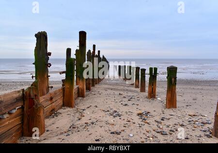 Il vecchio marciume pennelli sulla spiaggia di Kilnsea. Foto Stock