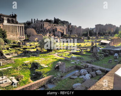 Colosseo - roma Foto Stock