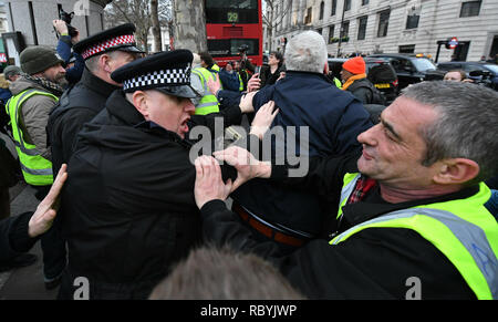 Gli ufficiali di polizia bagarre con Pro-Brexit i manifestanti che si tenta di arrivare in Trafalgar Square, Londra, dove un rally organizzato dall'Assemblea popolare contro l'austerità sono riuniti. Foto Stock