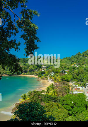 Castara è un piccolo villaggio di pescatori sull'isola tropicale di Tobago nei Caraibi. Chiamato spesso l'originale isola di Robinson Crusoe. In verticale Foto Stock