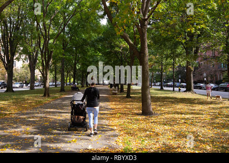 Una donna a spingere un passeggino lungo il Commonwealth Avenue Mall a Boston, MA Foto Stock