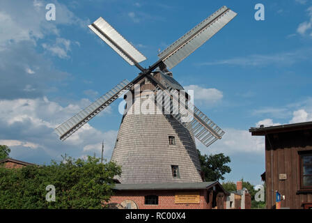 Holländerwindmühle, Mahlmühle, Ölmühle, Sägemühle, spezialisier auf Rapsöl-Herstellung, Straupitz, Spreewald, Landkreis Dahme-Spreewald, Terra Brandenb Foto Stock