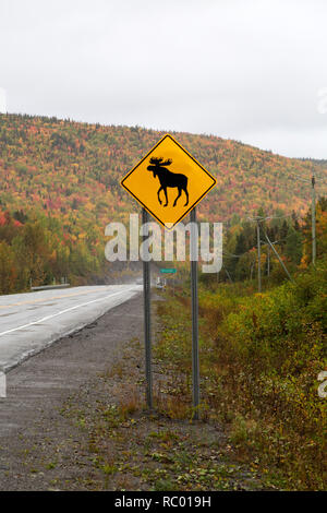 Un segno di traffico avvisa i conducenti di essere a conoscenza della presenza di alci sulla Gaspé Peninsual del Québec in Canada. Foto Stock