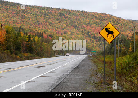 Un segno di traffico avvisa i conducenti di essere a conoscenza della presenza di alci sulla Gaspé Peninsual del Québec in Canada. Foto Stock