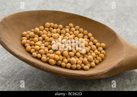 Giallo senape semi su un cucchiaio di legno vicino fino Foto Stock