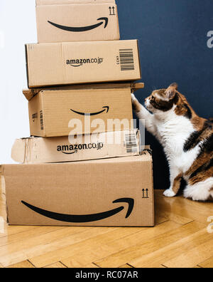 Parigi, Francia - Feb 15, 2018: curioso Cat ispezionando più la perfezione del Amazon Giappone box consegnati tramite corriere e a sinistra attraverso la porta dal corriere per la consegna Foto Stock