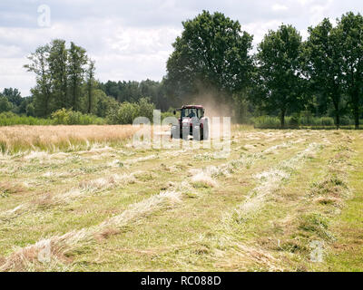 Agricoltore sul suo trattore accoppiato con un grassmower la falciatura di un prato in Barum, Elbmarsch, Bassa Sassonia, Germania Foto Stock