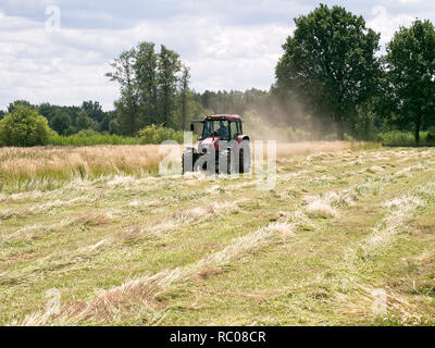 Agricoltore sul suo trattore accoppiato con un grassmower la falciatura di un prato in Barum, Elbmarsch, Bassa Sassonia, Germania Foto Stock