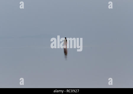 Un uomo è solitarie passeggiate in Salt Lake Urmia, West Azerbaijan provincia, Iran Foto Stock