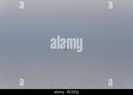 Un uomo è solitarie passeggiate in Salt Lake Urmia, West Azerbaijan provincia, Iran Foto Stock