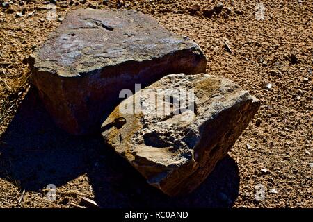 Litorale di massi ancora in vita, Lago di McKinsey, vicino Amarillo, Texas. Foto Stock