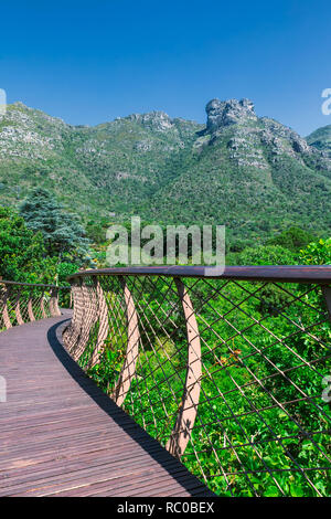 Passerella elevata con una vista in Kirstenbosch Botanical Garden, Città del Capo Foto Stock