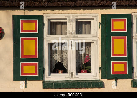 Fenster im alten Kapitänshaus, nato, Darss, Fischland-Darss-Zingst, Meclenburgo-Pomerania Occidentale, Deutschland, Europa | finestra in una Old Captain's house, Bo Foto Stock