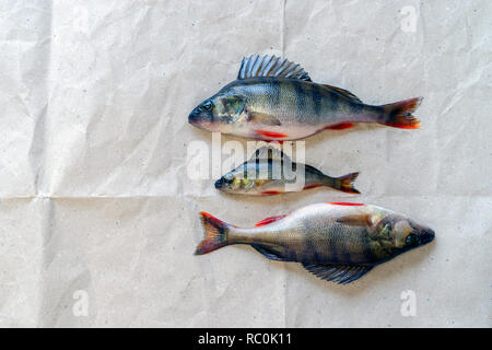 Tre catturati posatoi giacciono su un pezzo di carta a casa Foto Stock