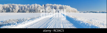 Bellissimo paesaggio invernale con panorama su strada e foresta. Vista panoramica della coperta di neve la foresta e il campo Foto Stock