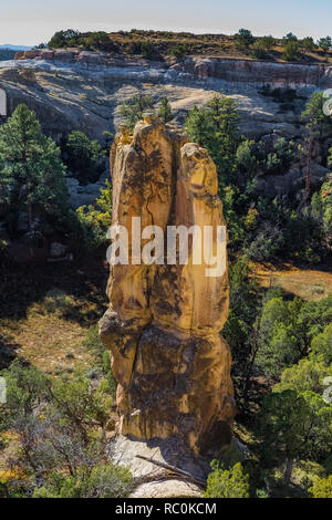 Pinnacle di Zuni arenaria sormontato con harder Dakota arenaria nella casella Canyon, visto dalla cima di Mesa Trail in El Morro monumento nazionale, Nuovo Messico Foto Stock