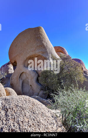 Cranio Rock a Joshua Tree National Park, California. Si tratta di una tappa preferita per i visitatori del parco. Foto Stock