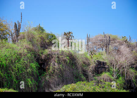 Laguna de Las Ninfas, una laguna di acqua salata nella cittadina di Puerto Ayora, sull isola di Santa Cruz in le Isole Galapagos. Foto Stock