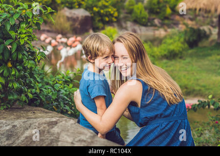 Madre e figlio stanno guardando il gregge di uccelli, di fenicotteri rosa su un laghetto. Foto Stock