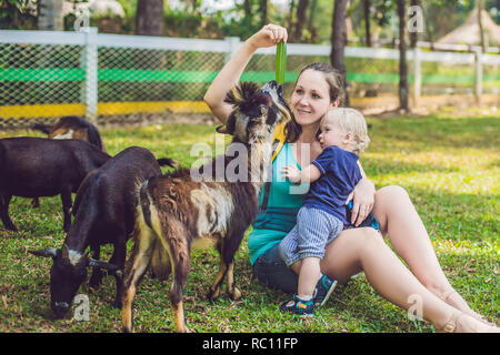 Carino piccolo ragazzo con la sua mamma alimentazione di capra in fattoria. Foto Stock