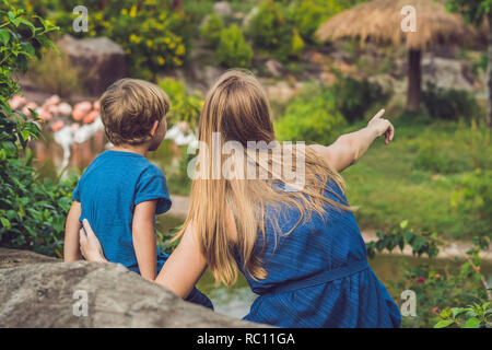 Madre e figlio stanno guardando il gregge di uccelli, di fenicotteri rosa su un laghetto. Foto Stock